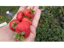 IMG 20180904 101914.jpg