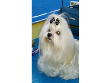 48062980 200928234149645 3578767665302339584 n.jpg