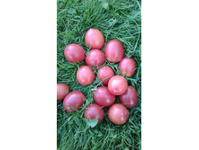 �� ����� �������