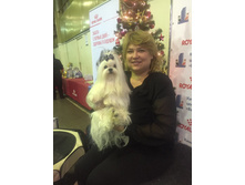 48389253 588818841563306 2760220299675828224 n.jpg