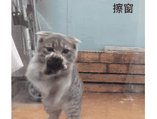 Fafdea08cd9d.gif