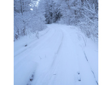 ������ ����� �������