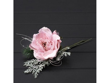 ���� �����+�������� �� (����)(10-25��)