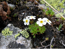 ��������� ������