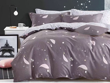 �������� ���