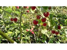 IMG 20180930 142815.jpg