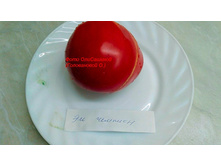 ��-�������, ���