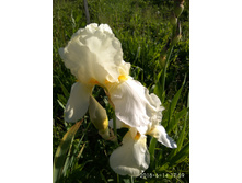 IMG 20180614 175943.jpg