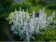 IMG 20180623 192114.jpg