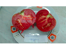 �������� �������, �����