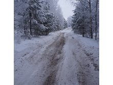 ���� ���� ��� ������ ;)