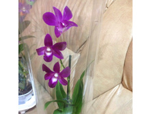 ����������������