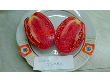 ���� �������, �����