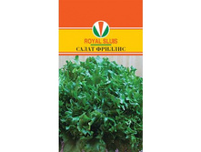 ����� �������� �������