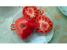 �������� ���������, ���