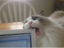 ���������