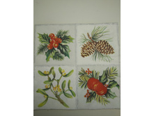 IMG 20181207 202802.jpg