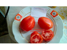 �������� �������