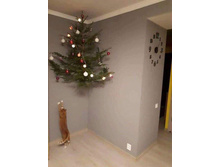 ��� � ����