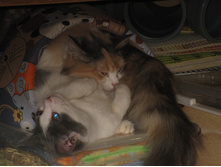 IMG 9739.JPG