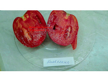 ���������, �����