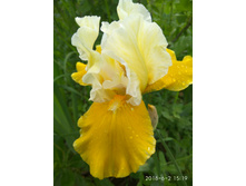 IMG 20180602 151931.jpg