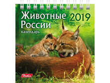 ���������-����� �� 2019 �., HATBER, �� ������, 101�101 ��, ����������, �������� 12��6�� 12419, K274552 20,20 + 10 ��.jpg