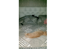 IMG-ebdf70d14942b2d0ab530b24475f04e8-V.jpg