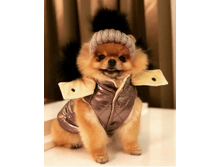 IMG 20181129 093535.png