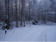 ������ �� ������ ��������� 2019