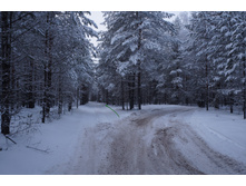 ��� � ���� � ������� ����������� ������ ������