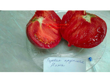 ������� �������