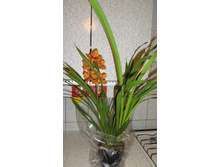 ���������- ������ .. ����� ���� ������ ..)