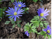 ��������� ������