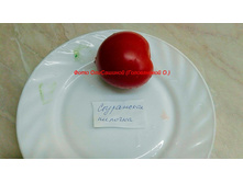 ���������� �������