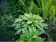 IMG 20180623 192221.jpg