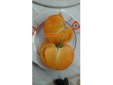 �������� ��������� ��������, �����