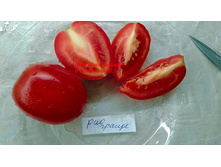 ��� ������