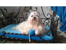 47448631 332254160906850 2613813381475336192 n.jpg