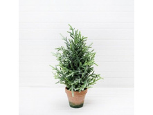 ��� ������. 40�� (� �����)