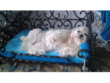 48024995 571542173317684 5093258818469494784 n.jpg