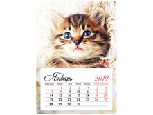 ��������� �������� �� ������� 95�135��, �������, OfficeSpace Mono - ������-���������, 2019�.261329 27,47 + 9 ��.jpg