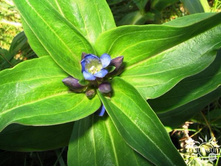 ��������� ������������