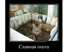 ������� �����!