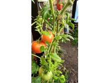 IMG 20181201 112152945 HDR.jpg