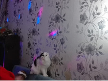 789a0037-2b60-472d-8f46-047914e6c3a9 (1).jpg