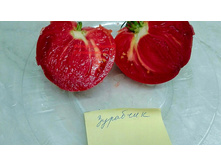 �������� �� ������ ���������. �����