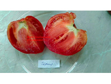 ���� �����, ���