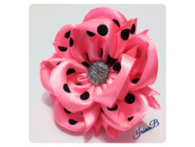 ������� No55 ������� ������� � ������� �� �������