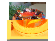 IMG 20180820 212827 840.jpg